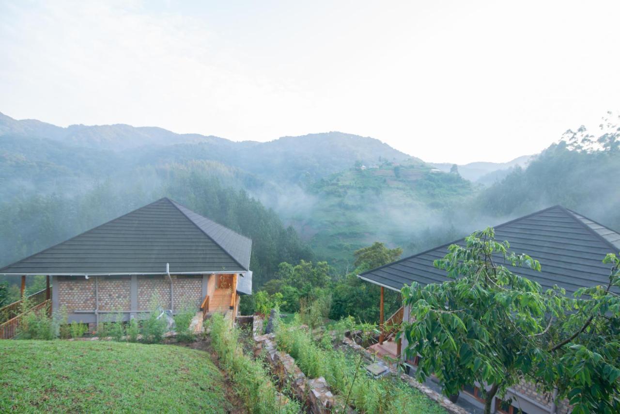 Gorilla Leisure Lodge Kisoro Zewnętrze zdjęcie