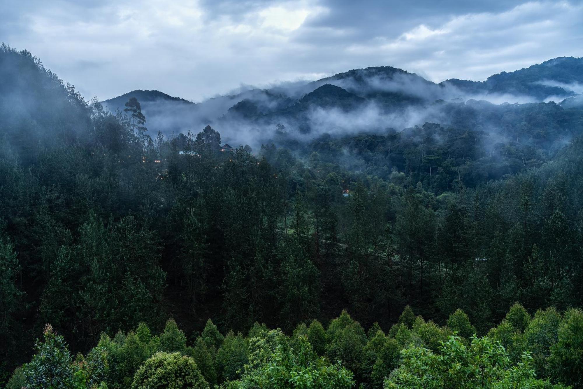 Gorilla Leisure Lodge Kisoro Zewnętrze zdjęcie