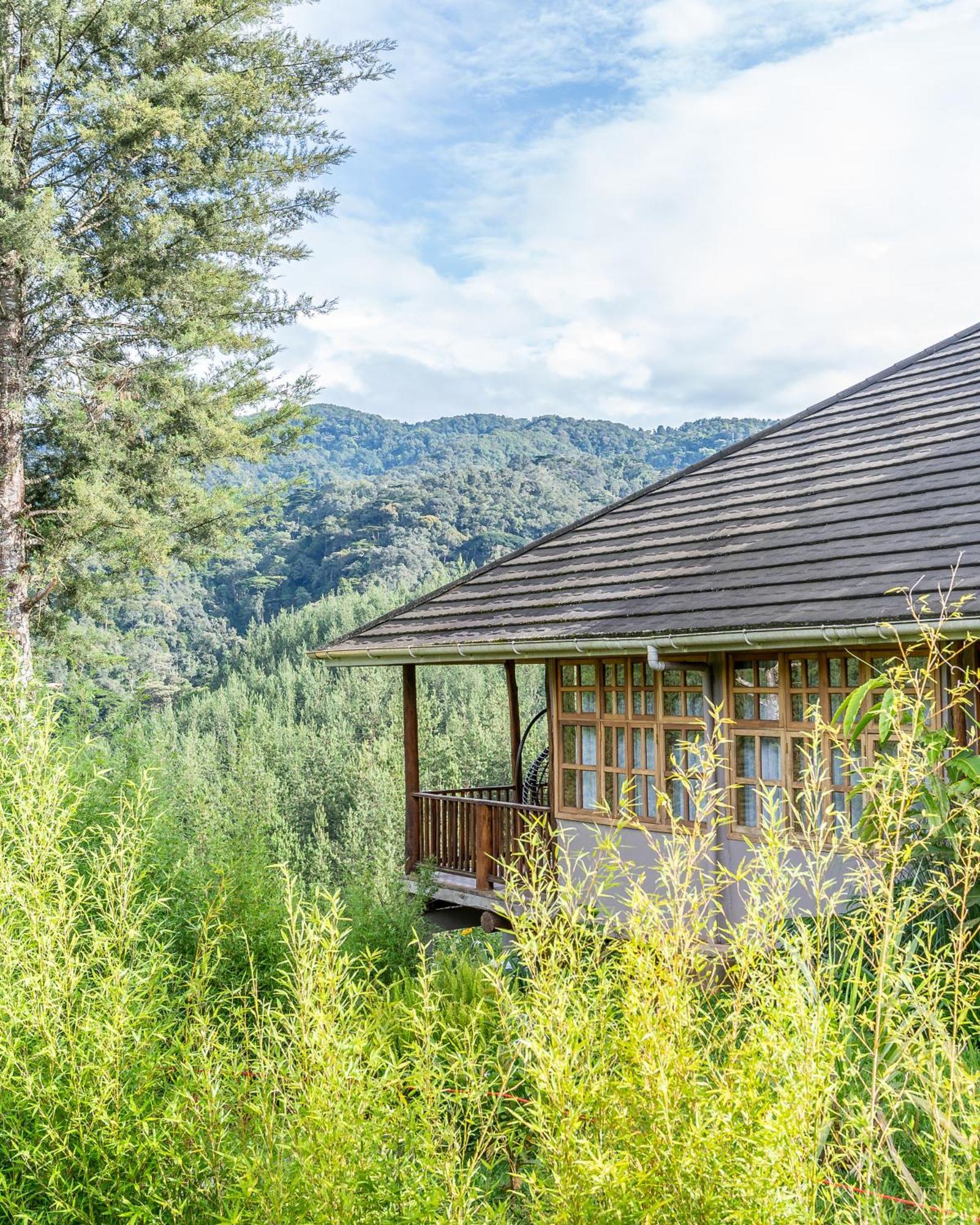 Gorilla Leisure Lodge Kisoro Zewnętrze zdjęcie